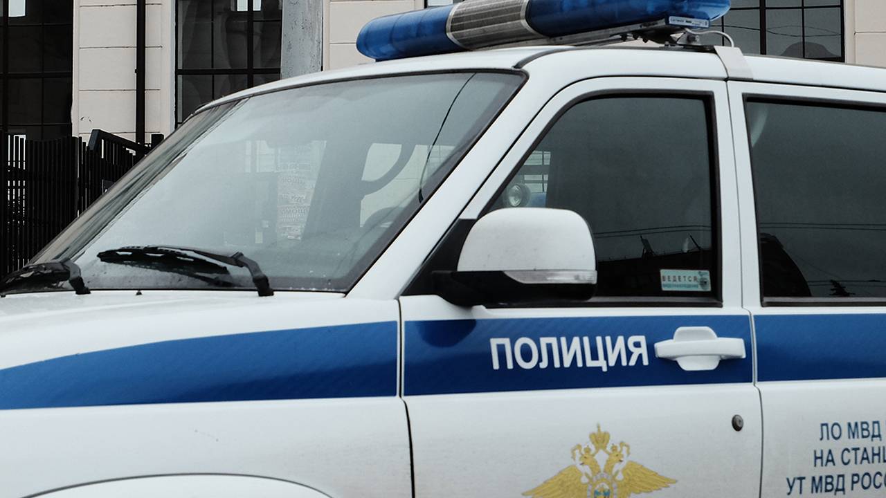 Нелегальные рабочие на стройке ПИК убежали от полиции в лес