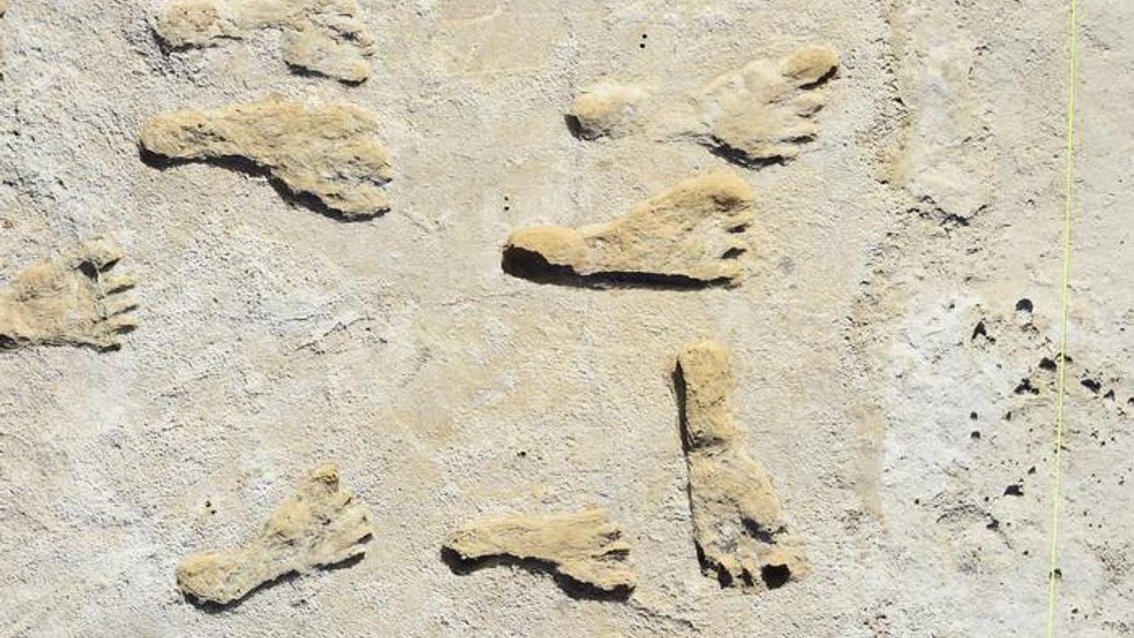 Ученые воссоздали внешность жившего 16 тысяч лет назад человека