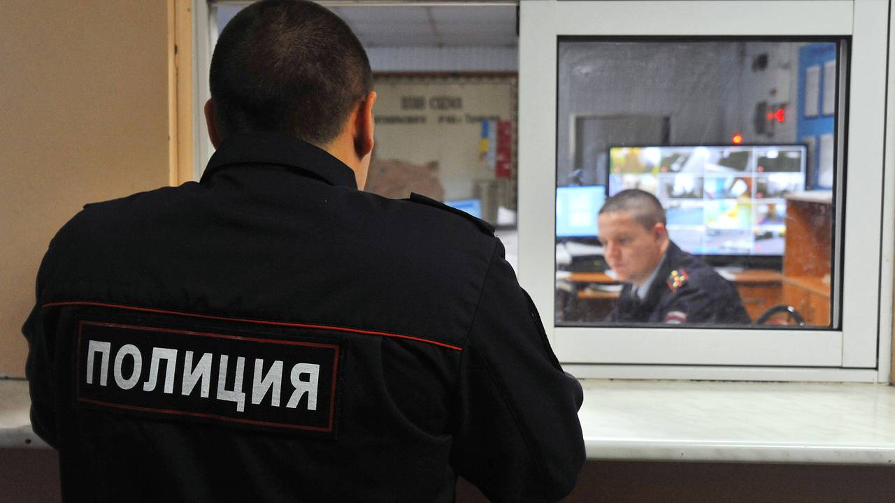 Пьяная россиянка избила начальника ПДН