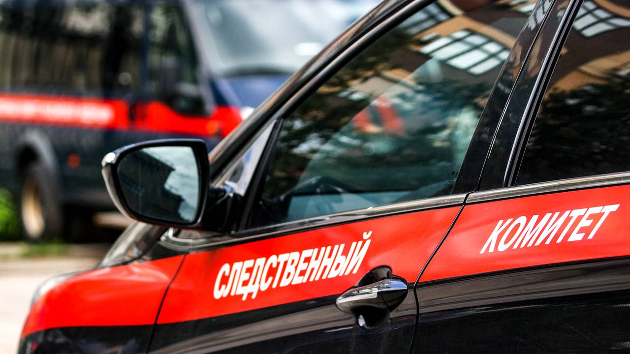Пара россиян похитила 15-летнюю школьницу после избиения