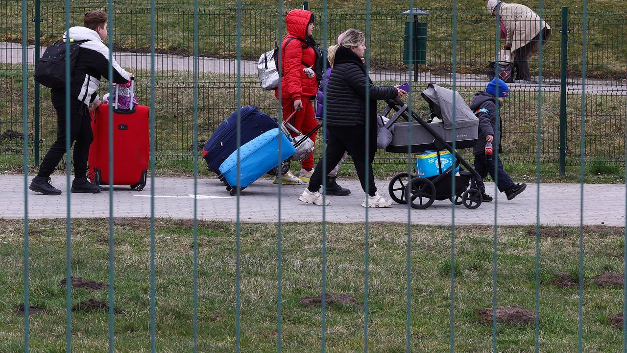 Польский комик высмеял живущих в стране эмигрантов из России и с Украины