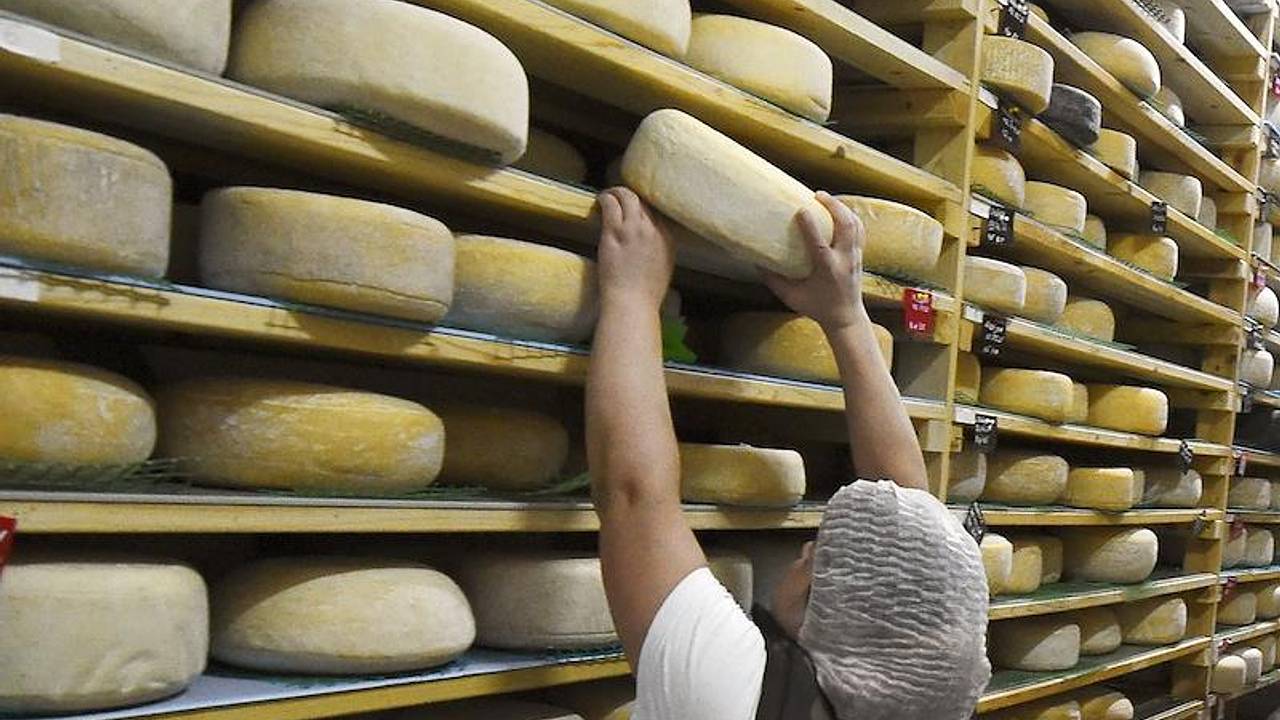 Сыр в российском регионе назвали именем Овечкина