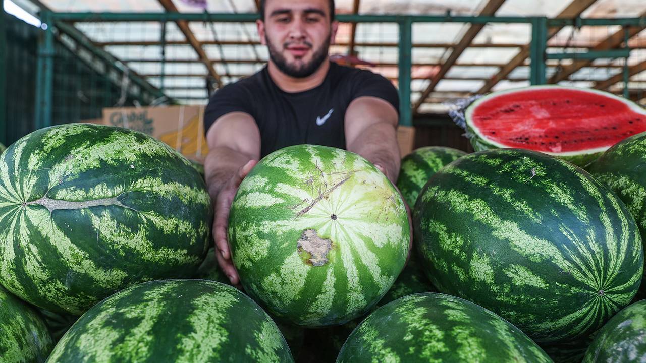Врач поделилась пятью правилами выбора вкусного арбуза