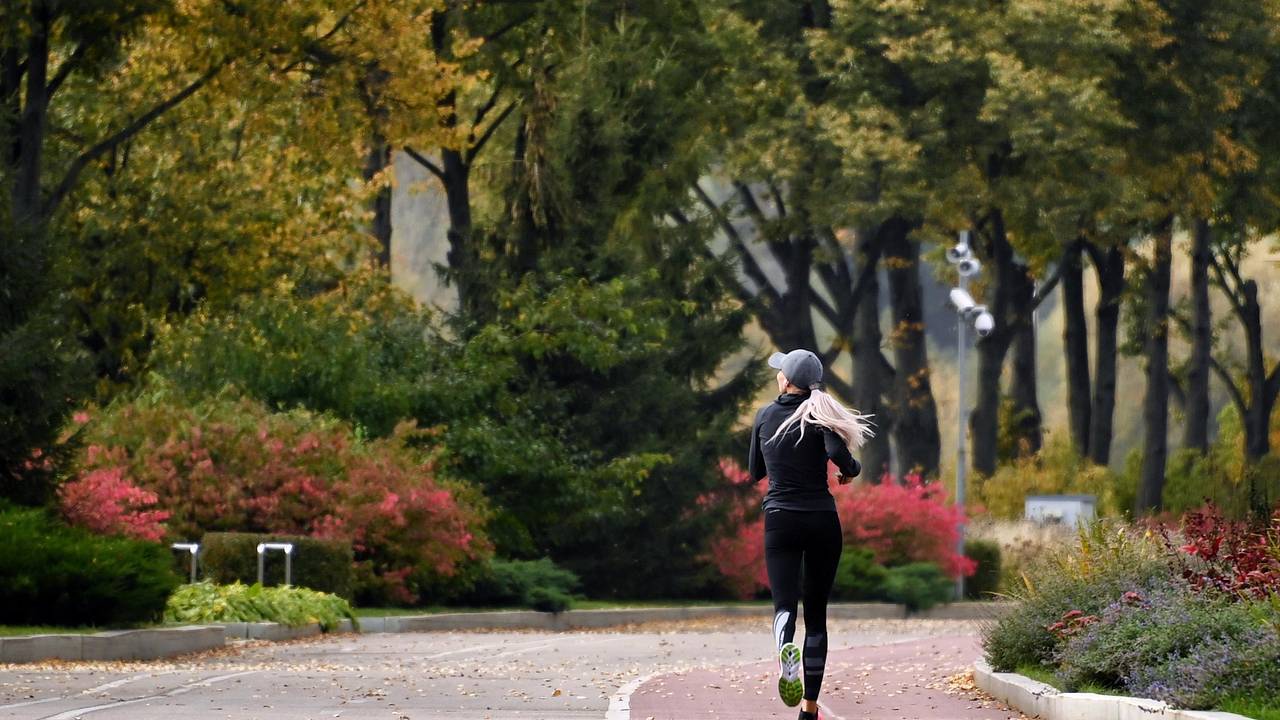 Доктор Мясников назвал самый серьезный постулат для защиты от раннего инфаркта