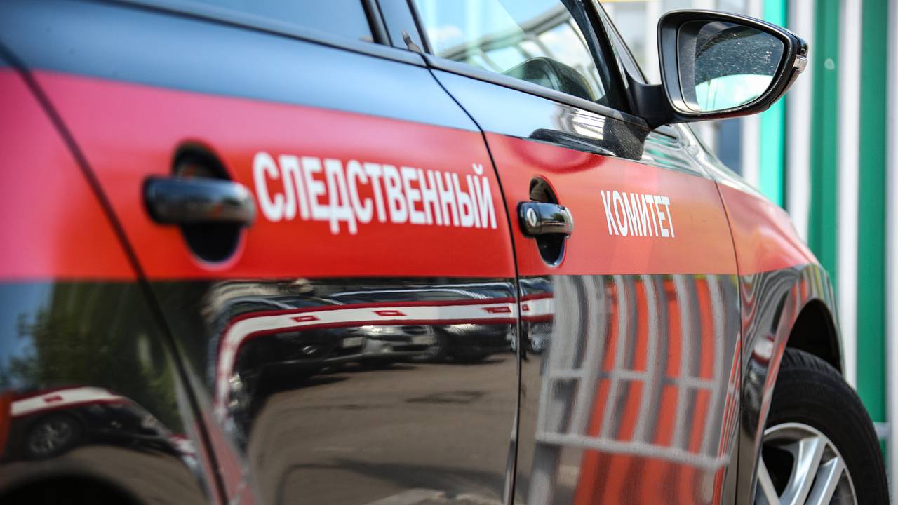 Начавшие массовую драку возле российской школы подростки попали под следствие