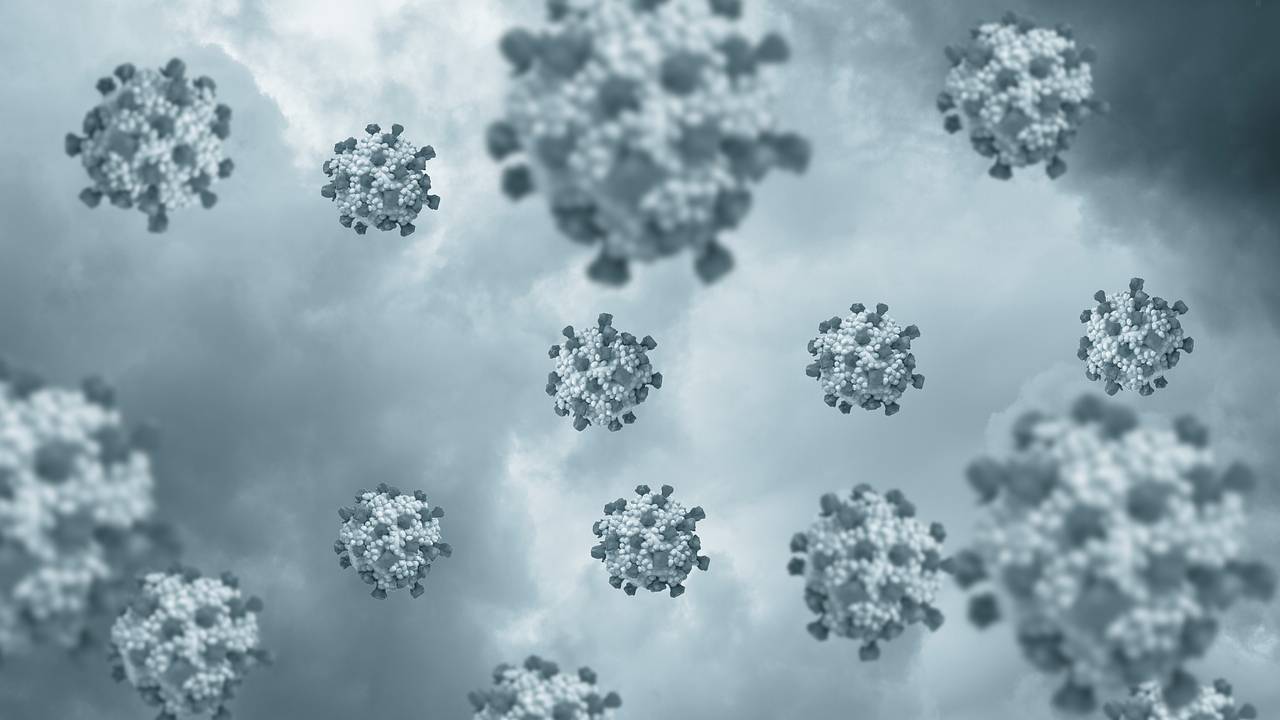 Найден способ остановить распространение вирусов