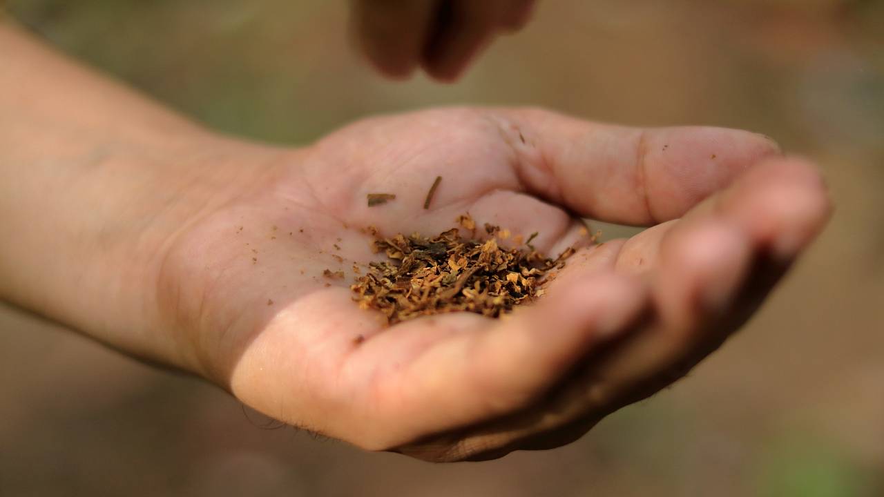 Власти одной страны ввели беспрецедентный запрет табака