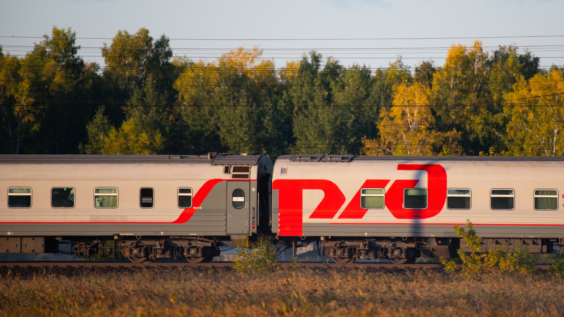 РЖД стали компанией с наибольшим приростом инвестиций