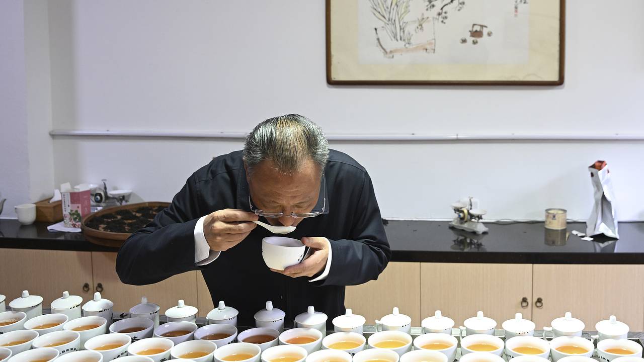 Популярный чай назвали защитником здоровья мозга