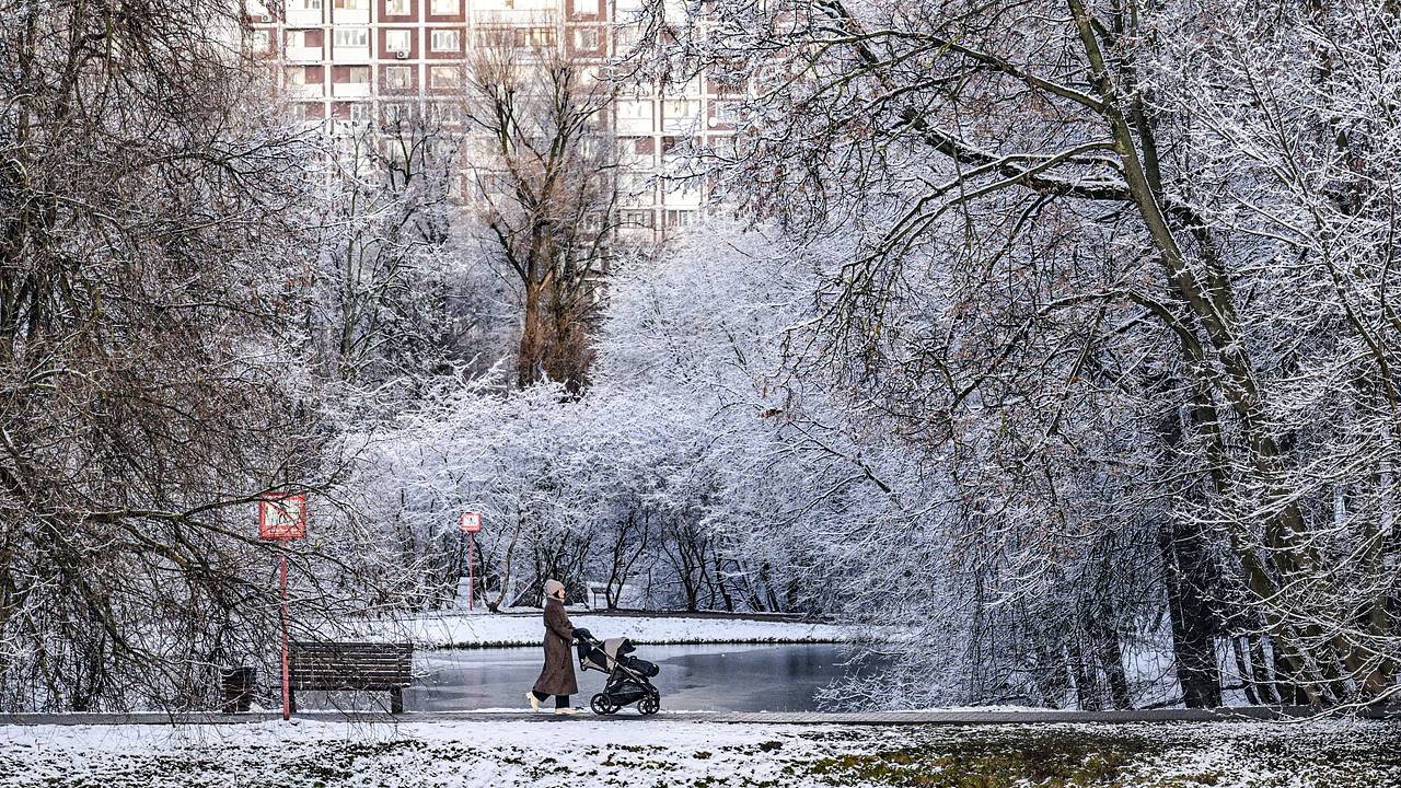 Москвичам посоветовали не ждать полноценной зимы