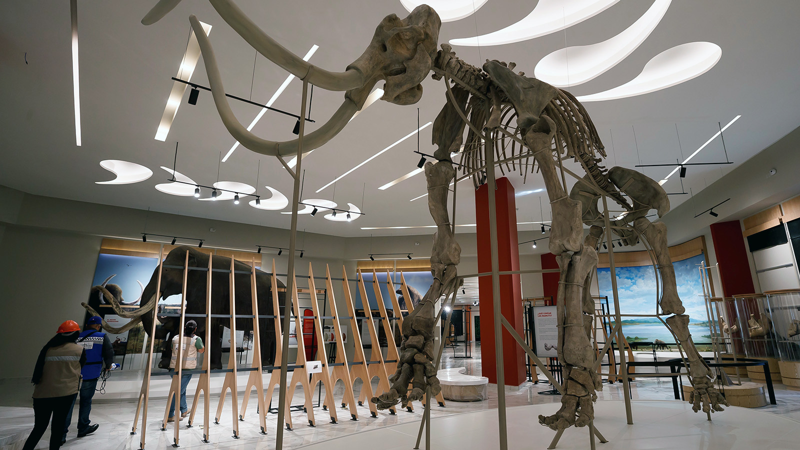 Предки славян, одноклеточные марсиане и мамонты в тропиках: новости науки