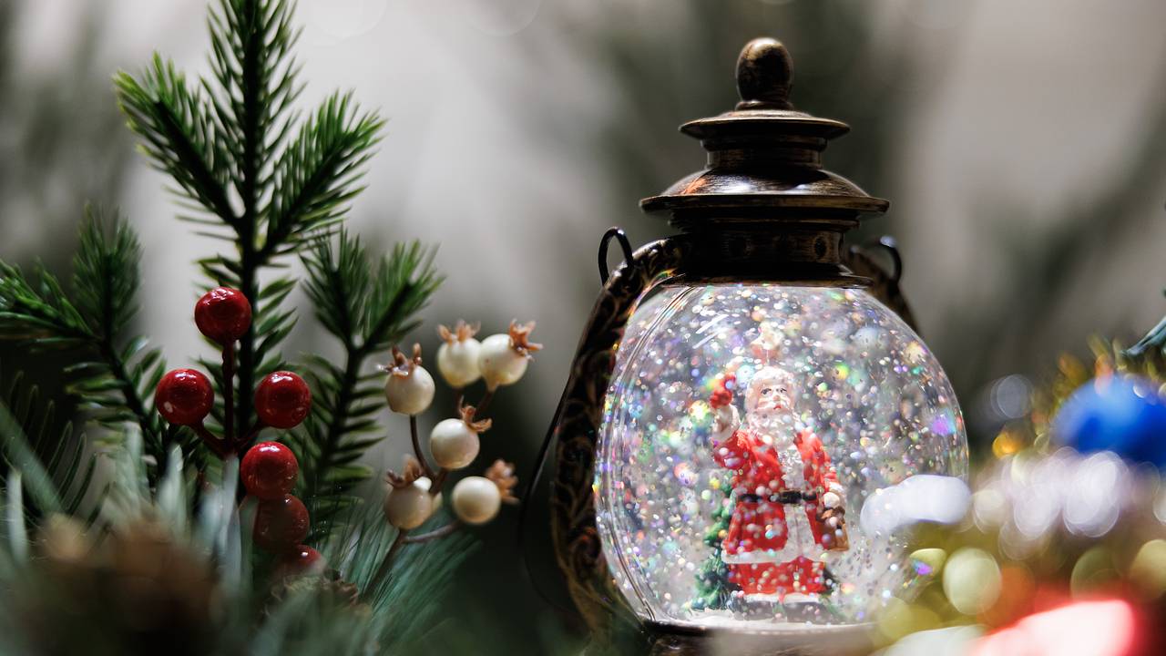 Минстрой ответил на идею штрафовать за елку в подъезде