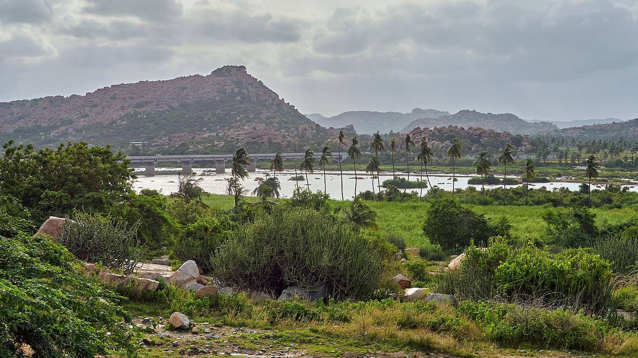Упавший с холма турист два дня выживал среди диких животных, дополз до фермы и был спасен