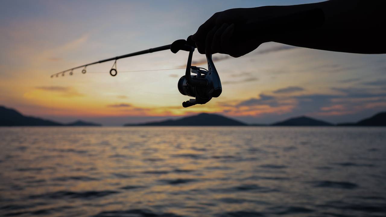 Пойманную в реке рыбу размером больше человека пришлось отпустить