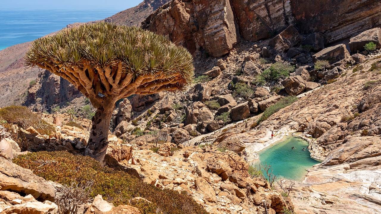 Российские туристы оказались заблокированы на острове в Йемене