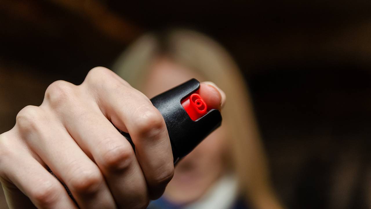 Использование баллончика спровоцировало возбуждение дела в отношении российской школьницы