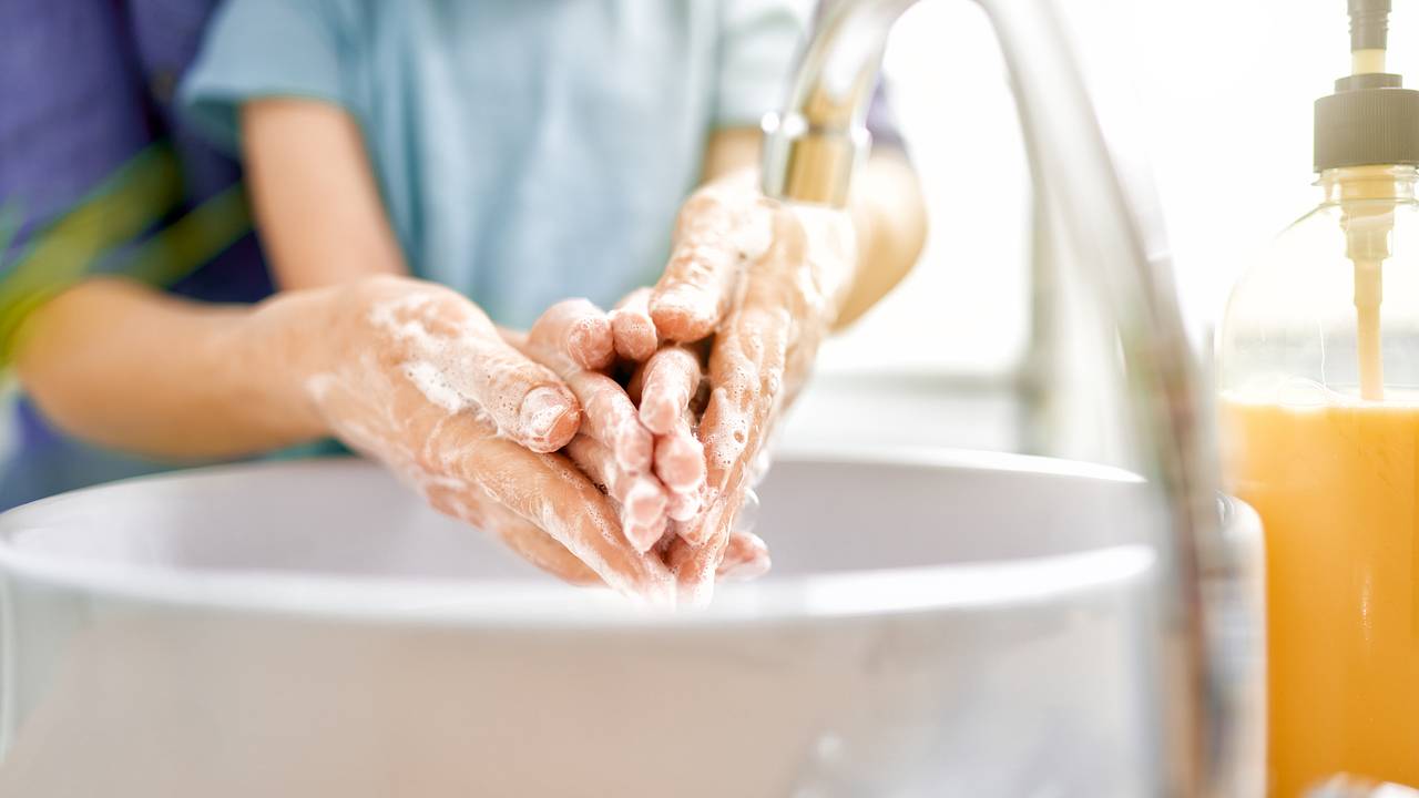 Роспотребнадзор дал рекомендации в связи со вспышкой вируса Нипах