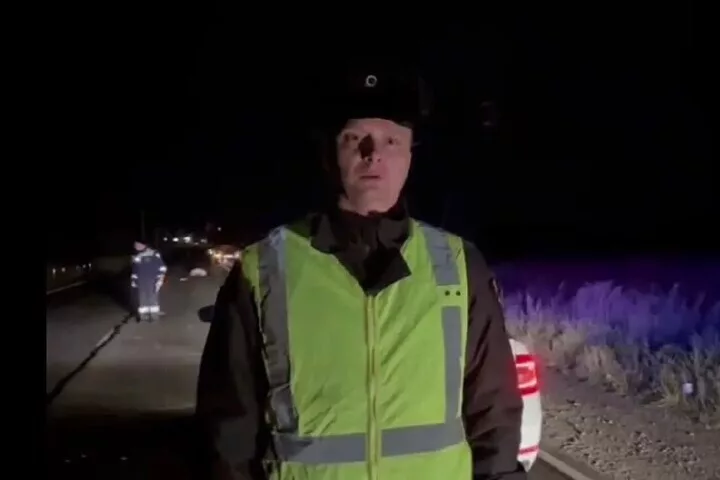 Петербуржец внезапно выбежал на дорогу перед авто и погиб на трассе