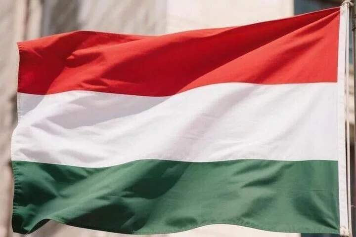 В Венгрии обнаружили советский истребитель Як-1Б