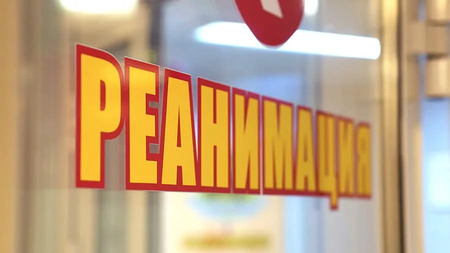 Ребенок попал в реанимацию после нападения собак в Краснодарском крае