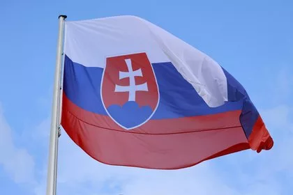 В Словакии оценили сроки работы правительства Фицо