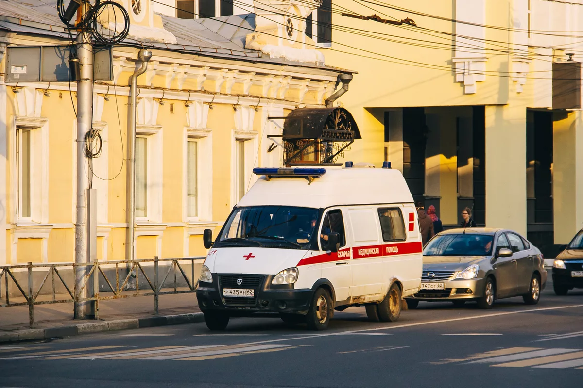 Профессор Ионов предупредил рязанцев об опасности самолечения лихорадки денге