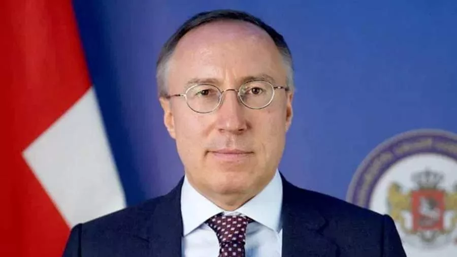 Замглавы МИД Грузии Зурабашвили назначили спецпредставителем по связям с РФ
