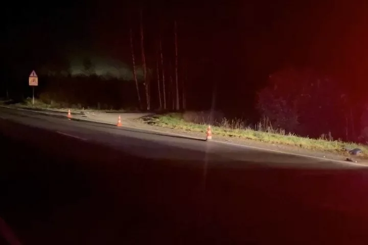 В Городецком округе водитель сбил велосипедиста и скрылся