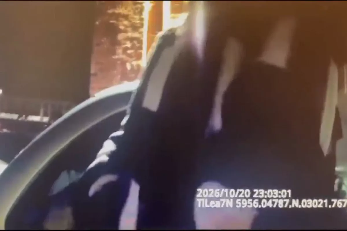Пьяный петербуржец притворился Тарзаном на крыше чужого джипа и уехал в полицию