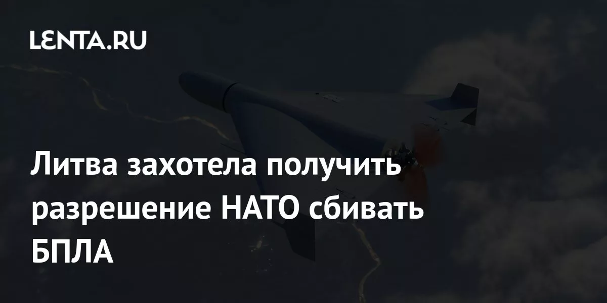Литва захотела получить разрешение НАТО сбивать БПЛА