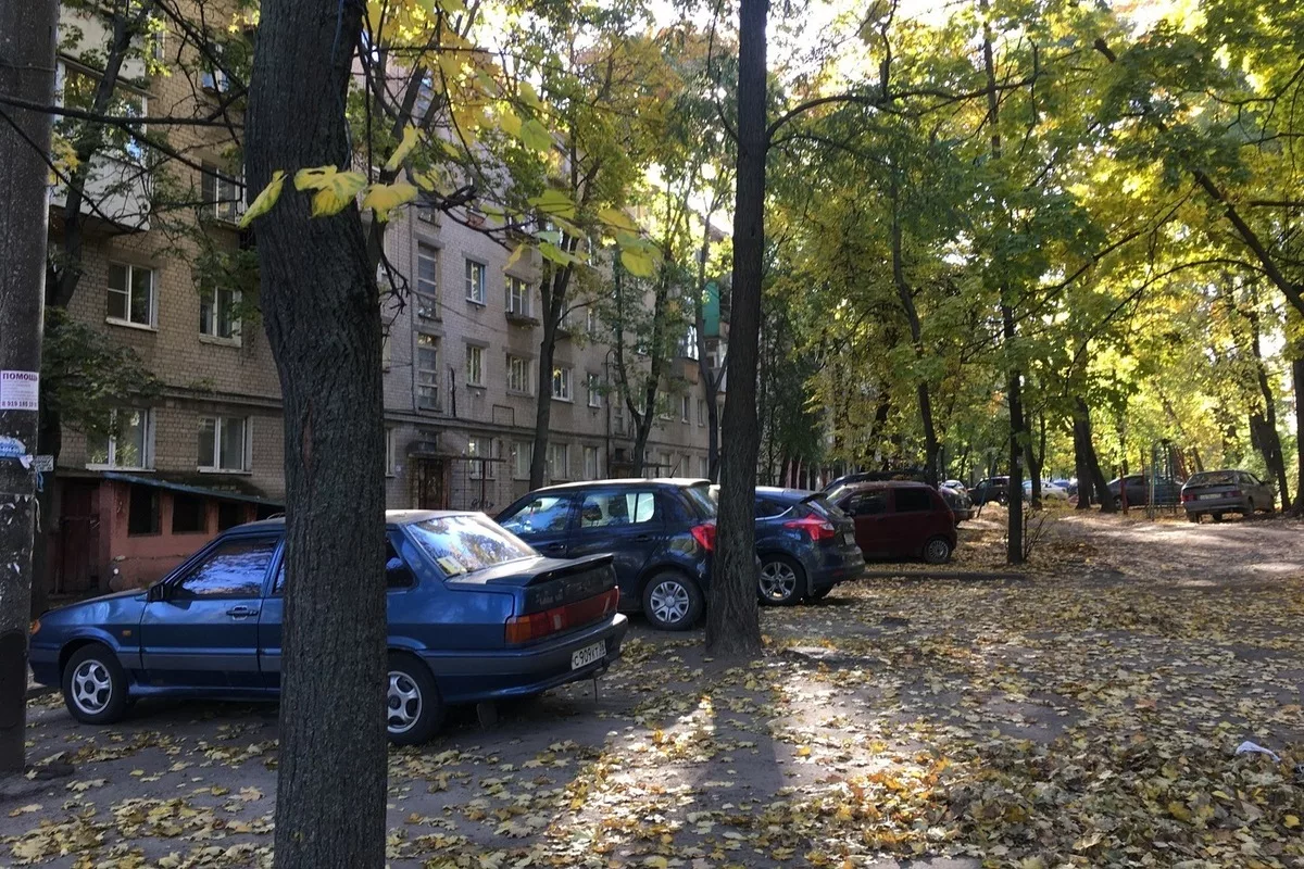 Двое воронежских подростков сорвали эмблему с «Мерседеса» и убежали